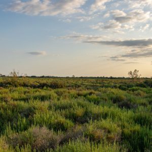 Copie de 1690882641520